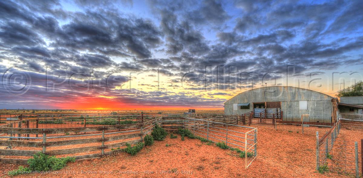 Peter Bellingham Photography Bucklow Station - Woolshed - NSW T (PB5D 00 2691)